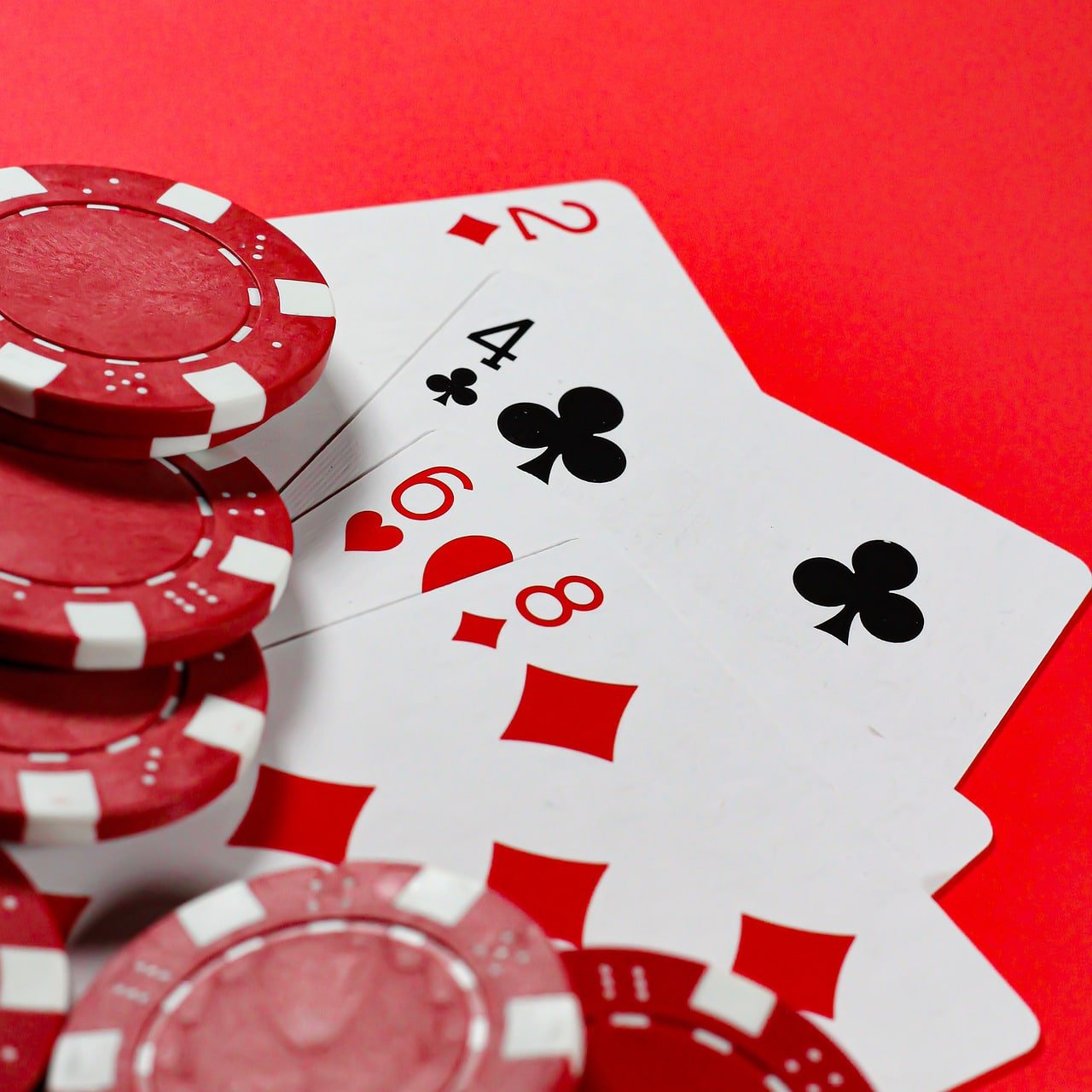 557bet
