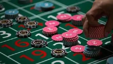 557bet