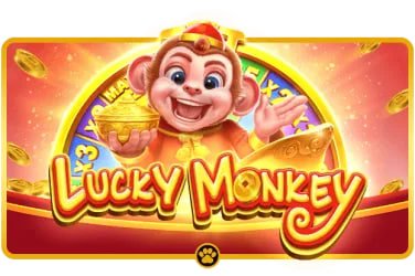557bet